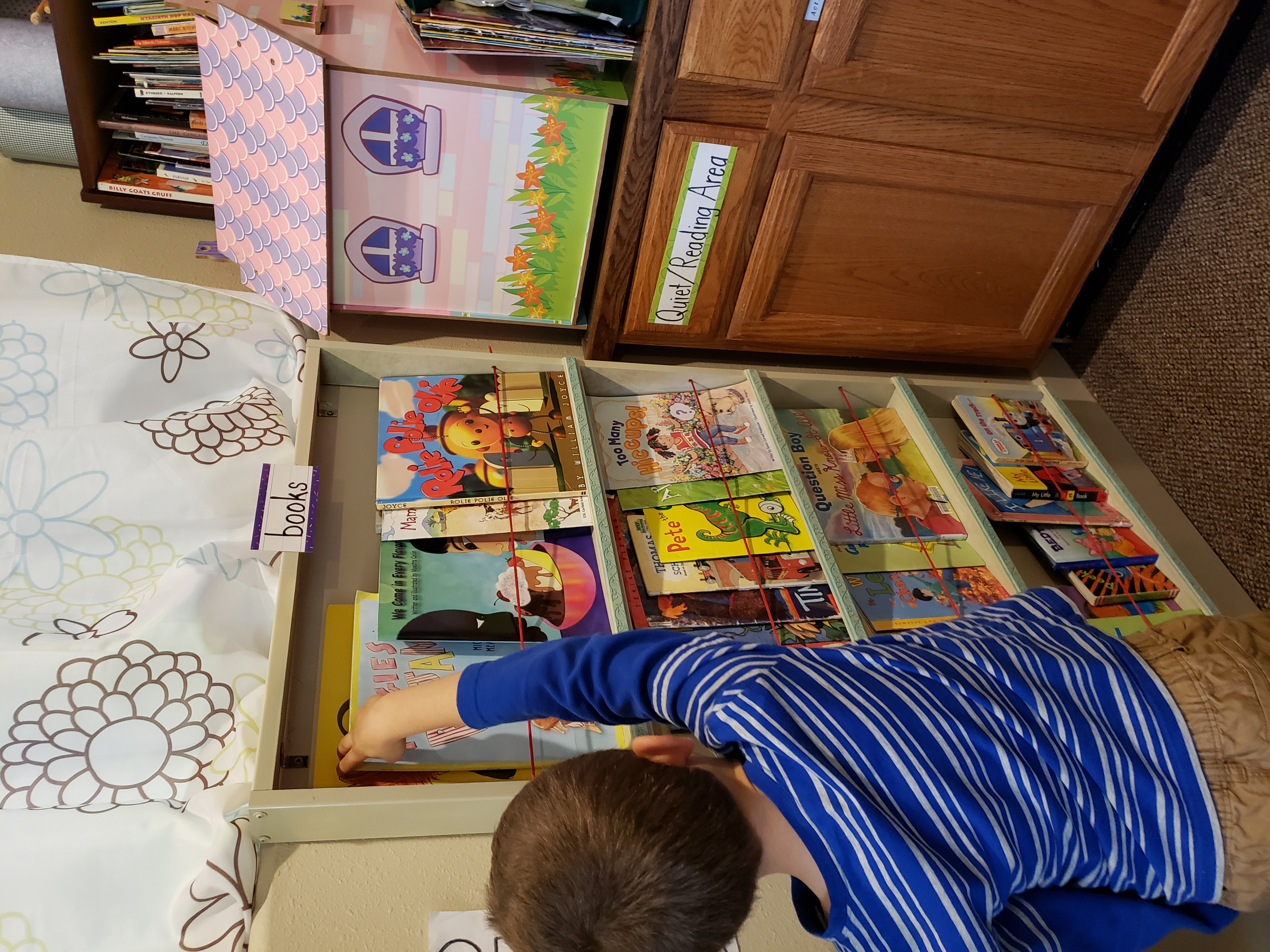 Photo. A bookshelf children's books.