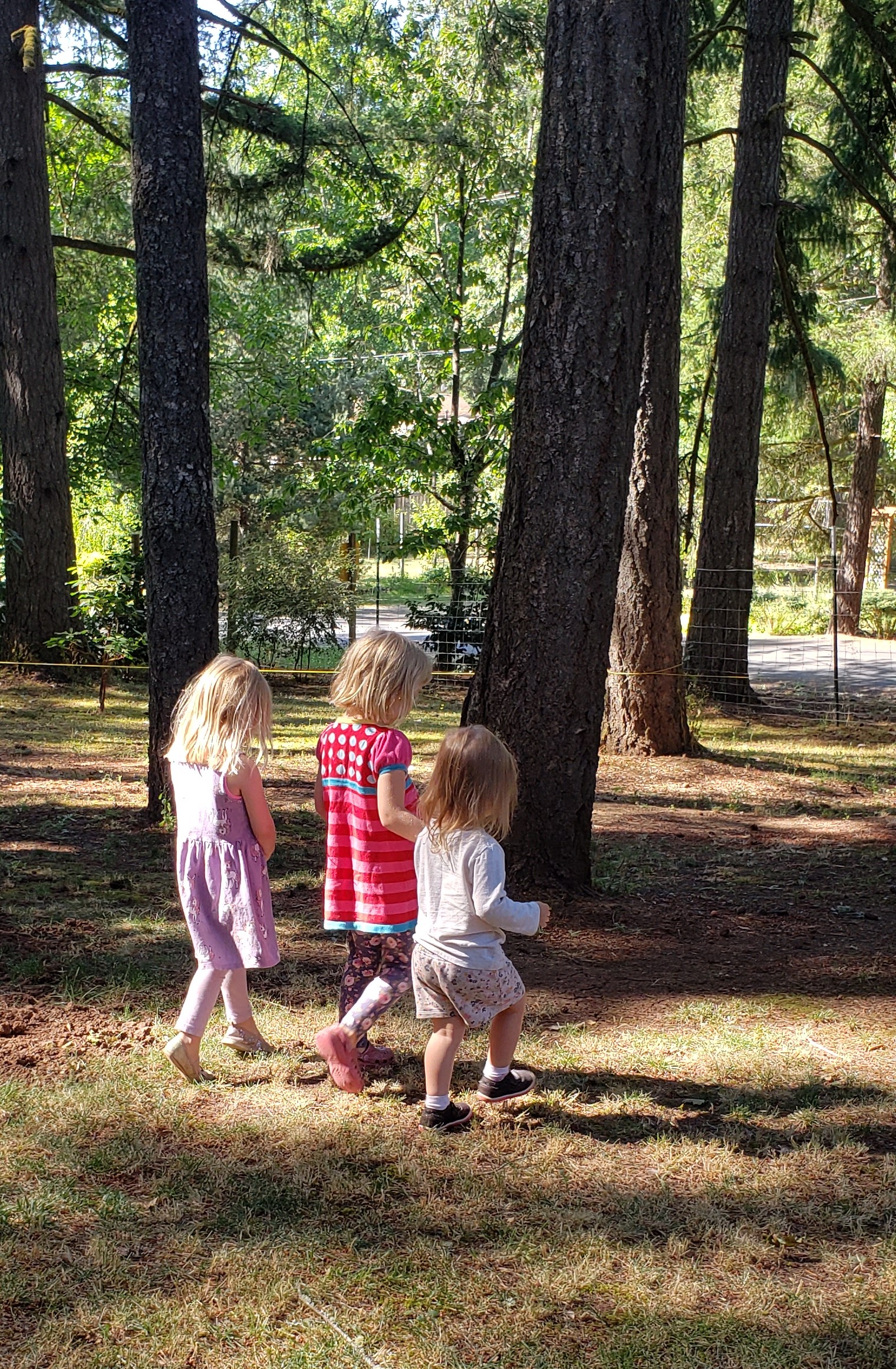 Photo. Three small children walking through the grass.