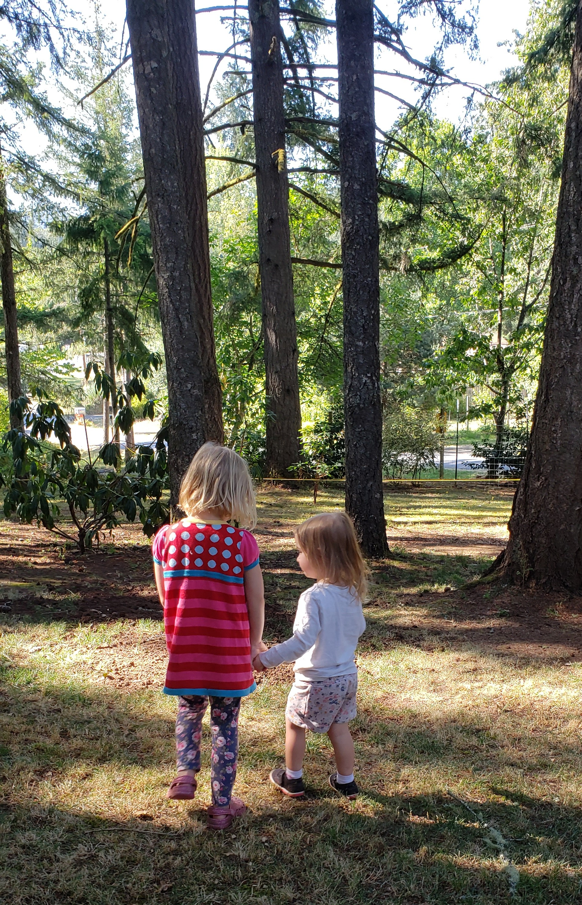 Photo. Two small children holding hands and wandering through the grass.