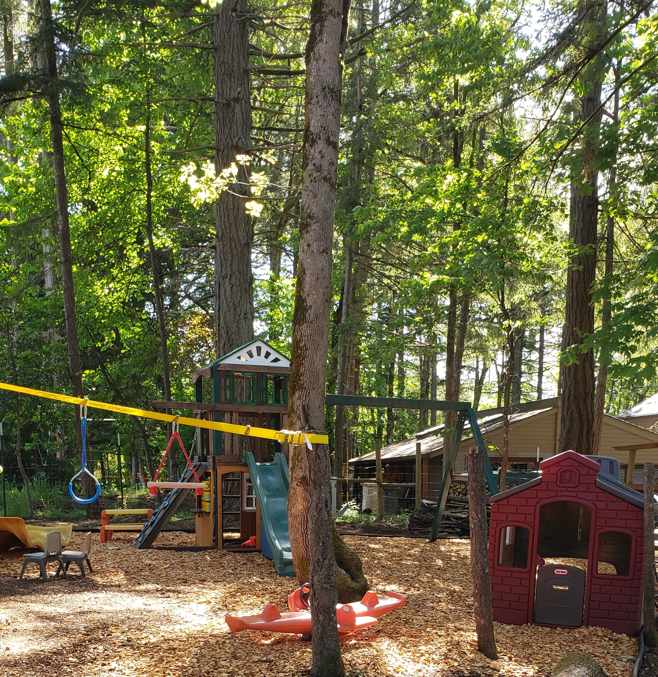 Photo. A colorful backyard full of play equipment.